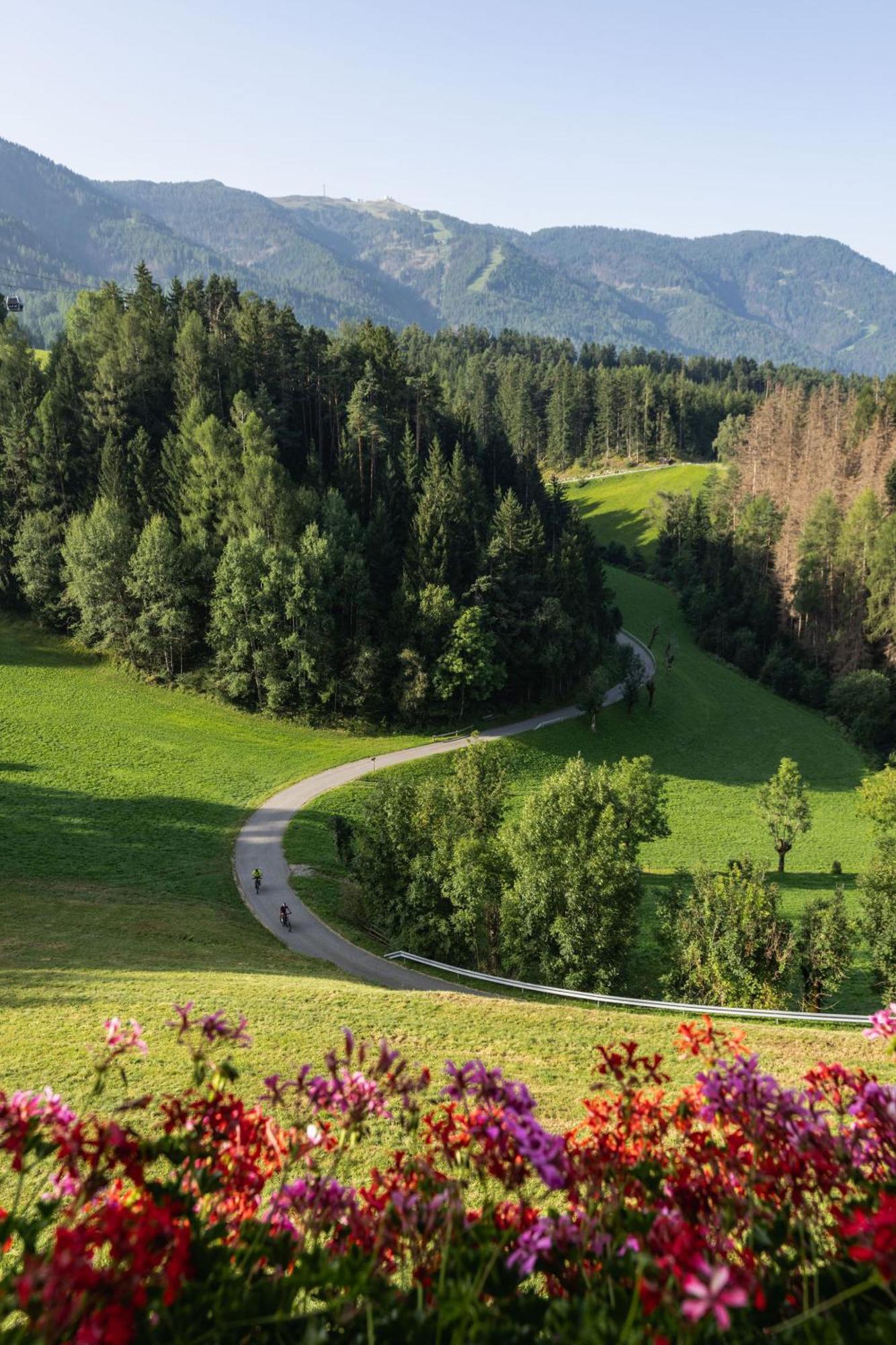 Ferienwohnung App Mittermairhof Reischach Exterior foto